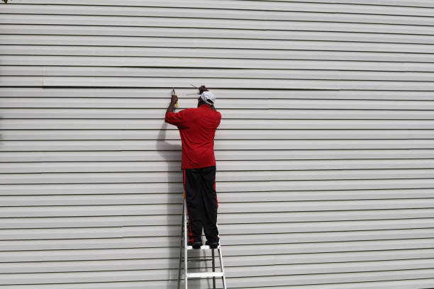 Best Fascia and Soffit Installation  in Chevy Chase View, MD