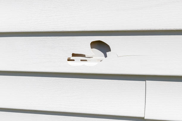 Best Custom Trim and Detailing for Siding  in Chevy Chase View, MD