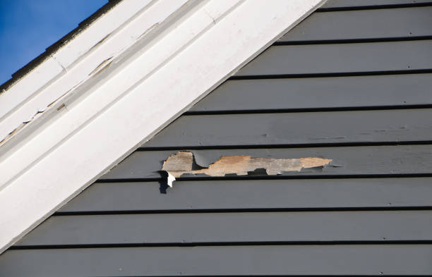 Best Siding for New Construction  in Chevy Chase View, MD